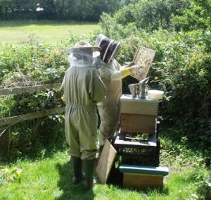 Pembrokeshire Beekeepers