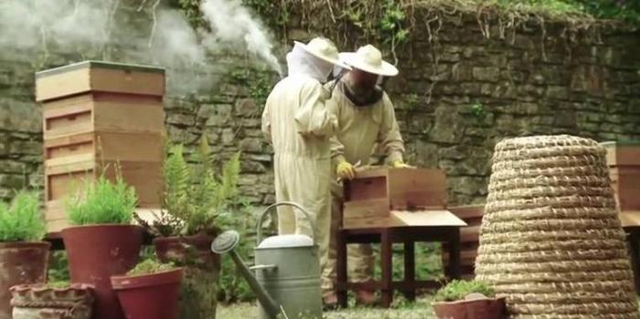 Inspecting a hive in the new apiary