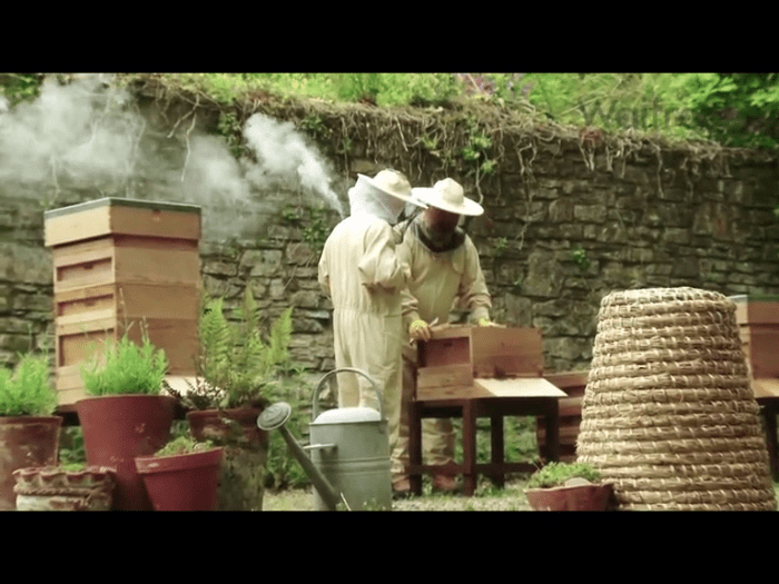 vlcsnap-2012-08-01-16h51m10s146