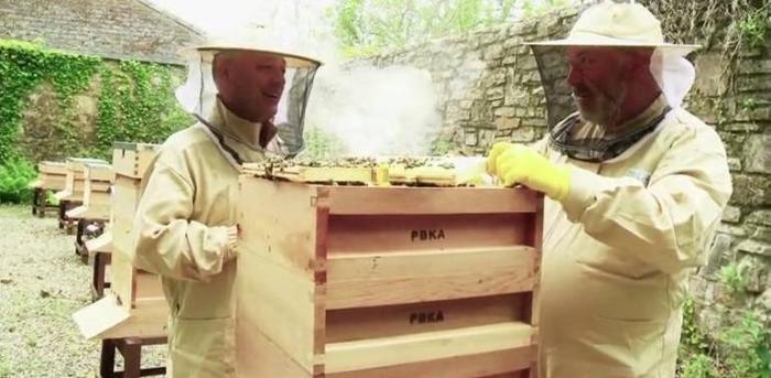 Working together in the new apiary