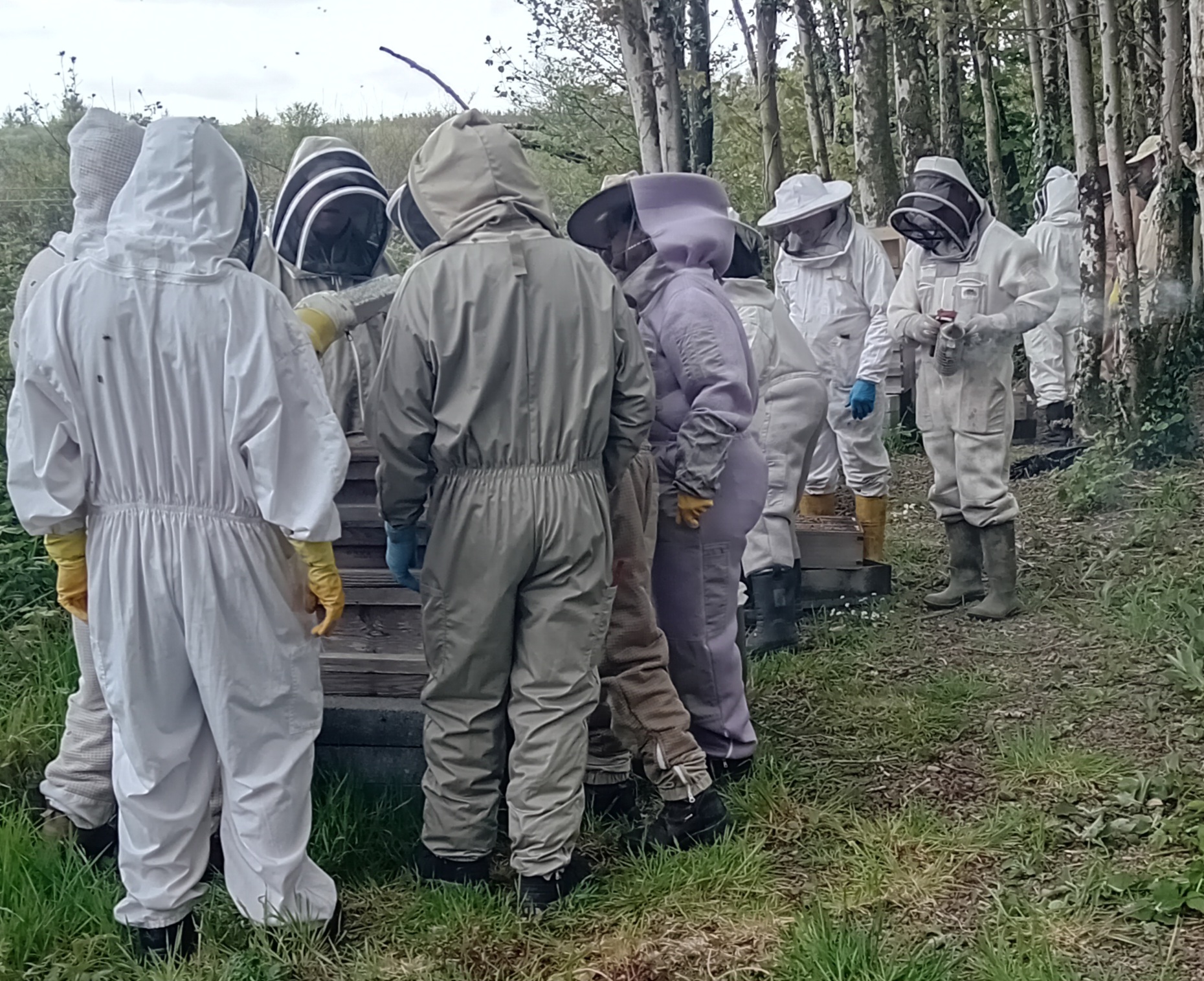 Pic by Paul Eades 2025